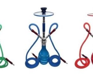 Zebra Bubbly w/Glass Tray 2 Hose