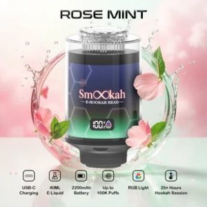 Smookah 2 in 1 Disposable Hookah 100k Puff Rose Mint