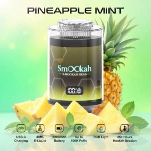 Smookah 2 in 1 Disposable Hookah 100k Puff Pineapple Mint