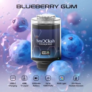 Smookah 2 in 1 Disposable Hookah 100k Puff Blueberry Gum