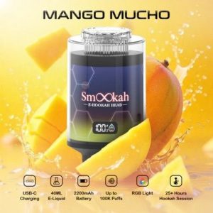 Smookah 2 in 1 Disposable Hookah 100k Puff Mango Mucho