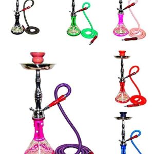 Zebra Cloud 1 Hose Hookah 19in Green