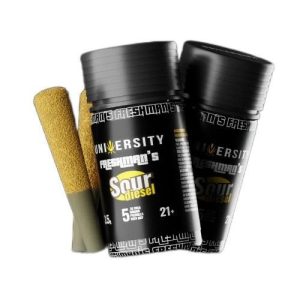 University Freshman's 3.5g Jar Pre-Rolls Pablotto