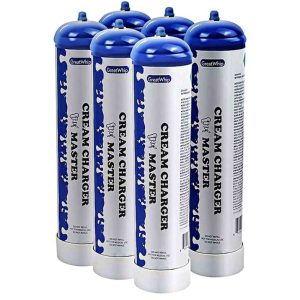 Great Whip 580G Charger