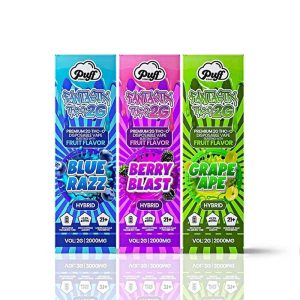 Fantastix THC-O 2 Gram Disposable Berry Blast