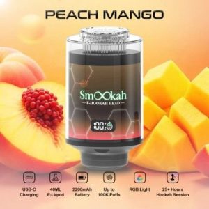 Smookah 2 in 1 Disposable Hookah 100k Puff Peach Mango
