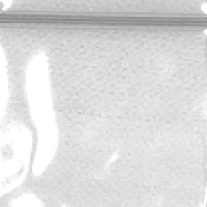 Zip Bags 2020 10/100PK 1000ct/BG Clear