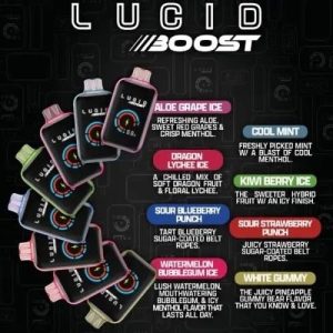 Lucid Boost 20000 Puff Disposable Blueberry Granola
