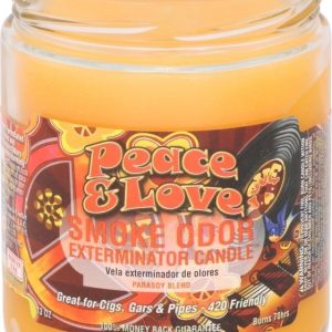 Smoke Odor Candle Pumpkin & Waffles 13OZ
