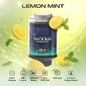 Smookah 2 in 1 Disposable Hookah 100k Puff Lemon Mint