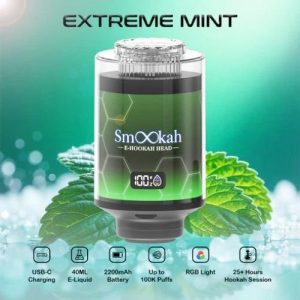 Smookah 2 in 1 Disposable Hookah 100k Puff Extreme Mint