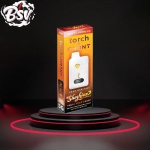 Torch x GRDNT 5g Slushiez Series THC-A+THCP Dispo Fruity Pebblez