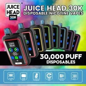 Juice Head 30k Disposable Cool Mint
