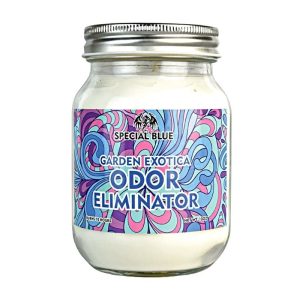 Special Blue Candle Garden Exotica