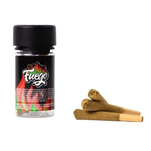 Fuego .22's .5g Pre Rolls Jar Fire OG