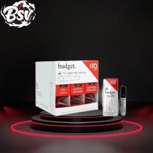 Budget D8 Cartridges Mix 30ct Display