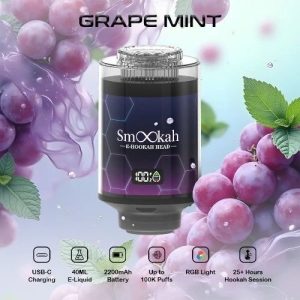 Smookah 2 in 1 Disposable Hookah 100k Puff Grape Mint